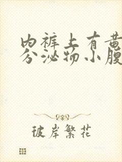 内裤上有黄黄的分泌物小腹有点痛封面