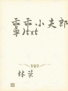 乖乖小夫郎(女尊)txt