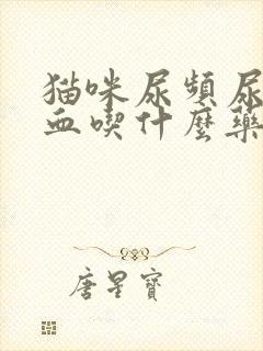 猫咪尿频尿少尿血吃什么药合适封面