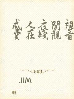 成人夜间视频免费在线观看