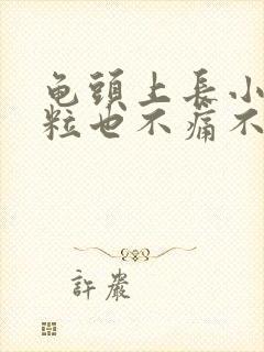 龟头上长小肉颗粒也不痛不痒