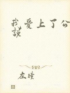 我爱上了公公小说