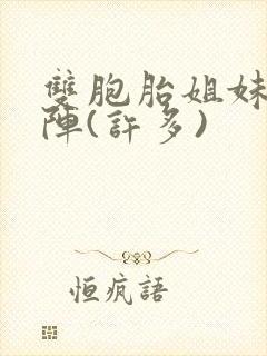 双胞胎姐妹齐上阵(许多)封面