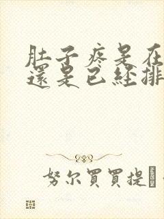 肚子疼是在排卵还是已经排了