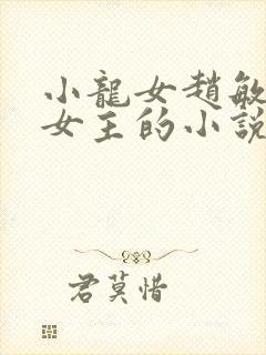 小龙女赵敏黄蓉女主的小说封面