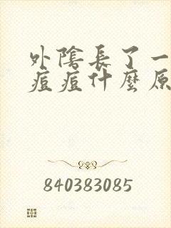 外阴长了一个硬痘痘什么原因