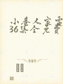 小巷人家电视剧36集全免费