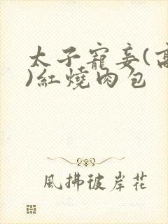 太子宠妾(高肉)红烧肉包