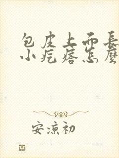 包皮上面长一个小疙瘩怎么回事