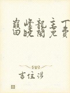 巅峰龙主丁长顺田晓兰免费阅读