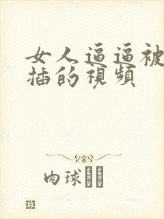 女人逼逼被男人插的视频