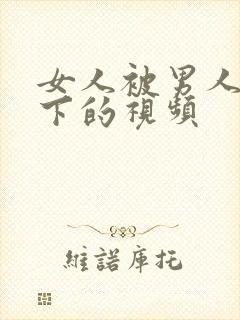 女人被男人舔底下的视频封面