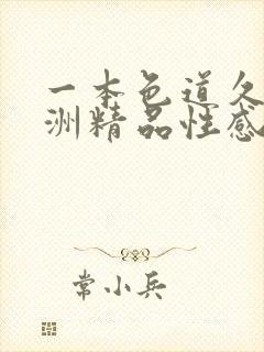 一本色道久久亚洲精品性感美女丝袜诱惑封面