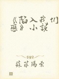 《陷入我们的热恋》小说