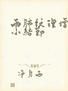 两肺纹理增多微小结节