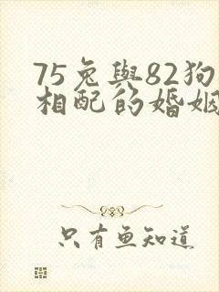 75兔与82狗相配的婚姻如何