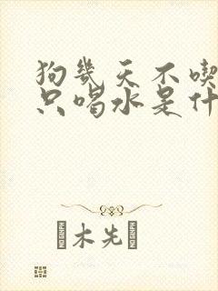 狗几天不吃东西只喝水是什么原因