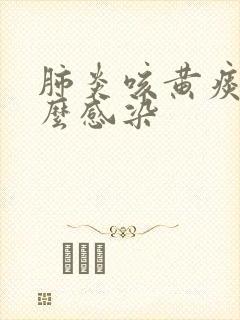 肺炎咳黄痰是什么感染