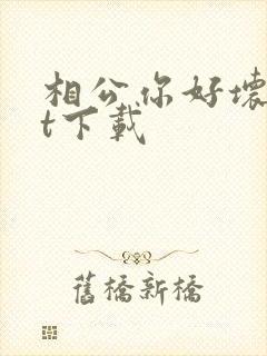 相公你好坏txt下载