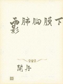 两肺胸膜下絮状影