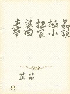 老婆把极品闺蜜带回家小说