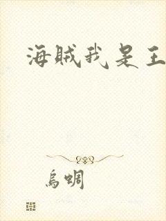 海贼我是王路飞