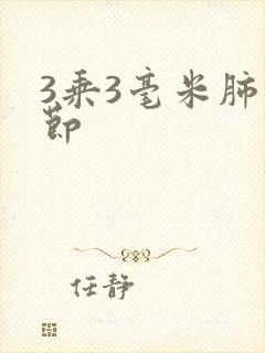 3乘3毫米肺结节封面