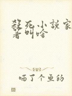 杀死小说家的原著叫啥