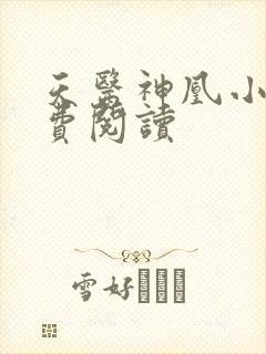 天医神凰小说免费阅读