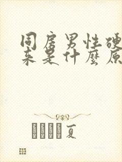 同房男性硬不起来是什么原因