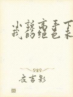 小说高手下山:我的绝色未婚妻免费下载