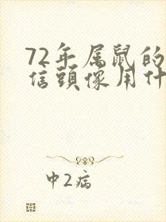 72年属鼠的微信头像用什么旺财封面