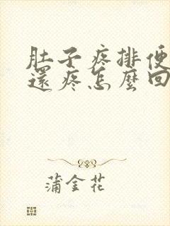 肚子疼排便肛门还疼怎么回事