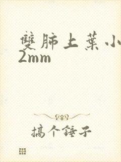 双肺上叶小结节2mm