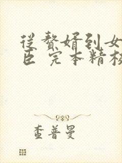 从赘婿到女帝宠臣 完本精校版txt