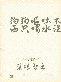 狗狗呕吐不吃东西只喝水没精神是为什么封面