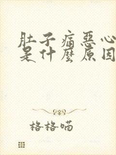 肚子痛恶心想吐是什么原因