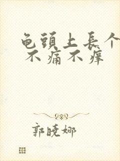 龟头上长个疙瘩 不痛不痒