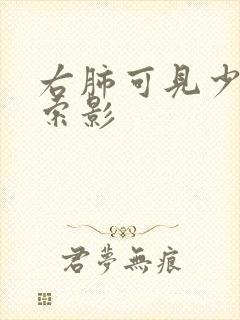 右肺可见少许条索影