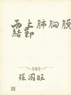 两上肺胸膜下小结节