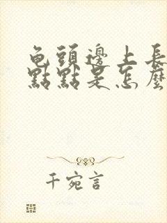 龟头边上长小红点点是怎么回事封面