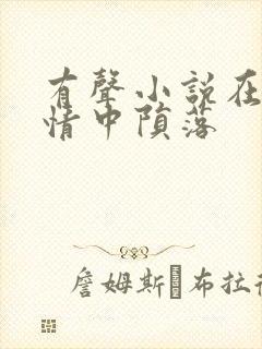 有声小说在他深情中陨落