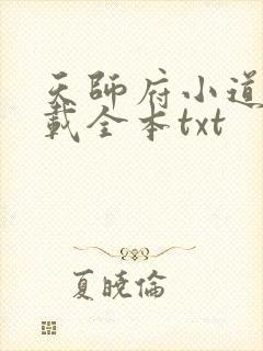 天师府小道士下载全本txt封面