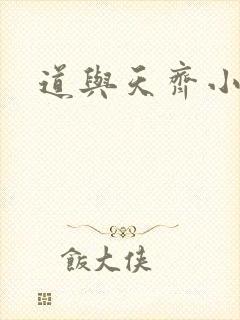 道与天齐小说