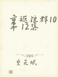 重返狼群10周年 12集