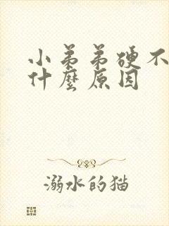 小弟弟硬不起是什么原因