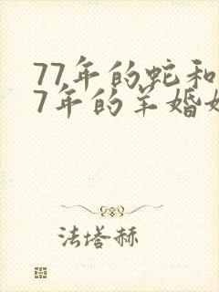 77年的蛇和67年的羊婚姻