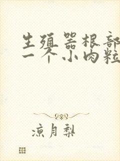 生殖器根部长了一个小肉粒封面