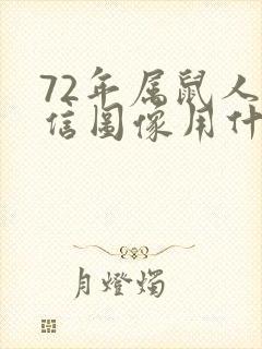 72年属鼠人微信图像用什么好