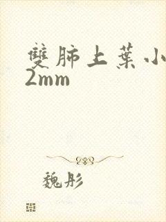 双肺上叶小结节2mm